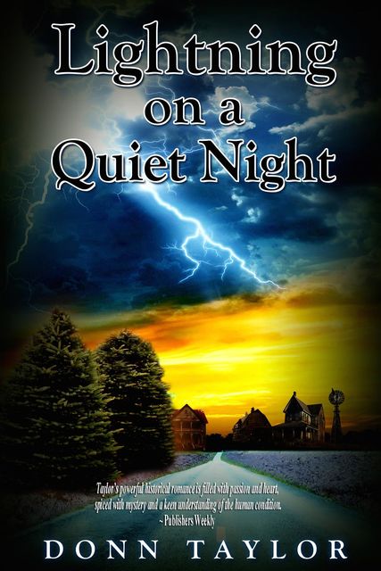 Lightning on a Quiet Night, Donn Taylor