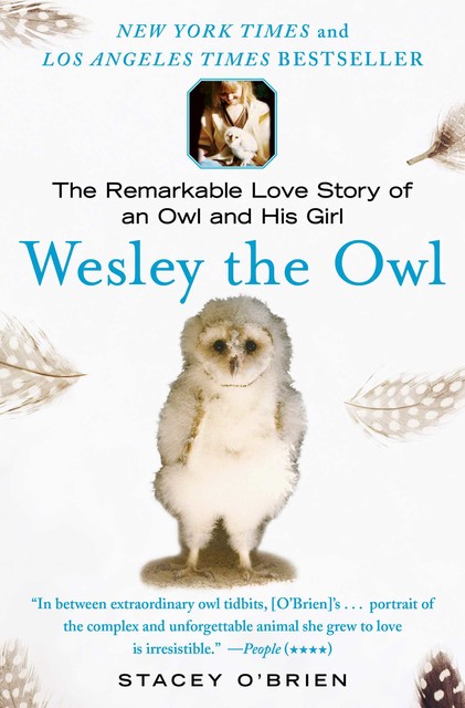 Wesley the Owl, Stacey O'Brien