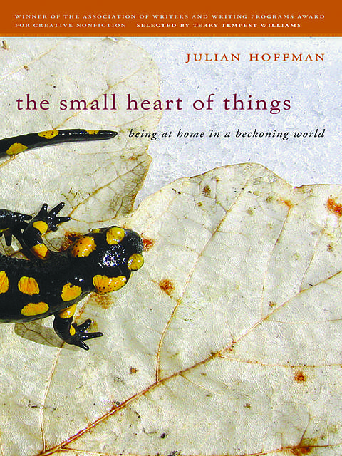 The Small Heart of Things, Julian Hoffman