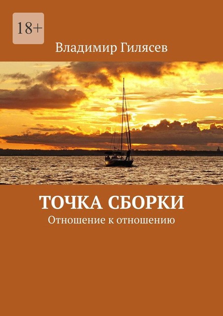 Точка сборки. Отношение к отношению, Владимир Гилясев