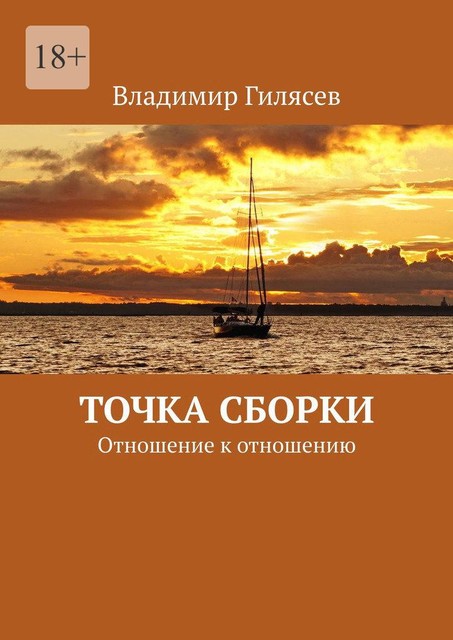 Точка сборки. Отношение к отношению, Владимир Гилясев