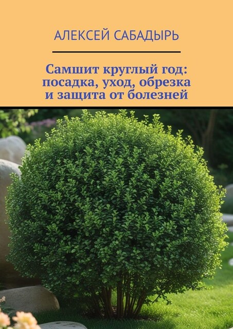 Самшит круглый год: посадка, уход, обрезка и защита от болезней, Алексей Сабадырь