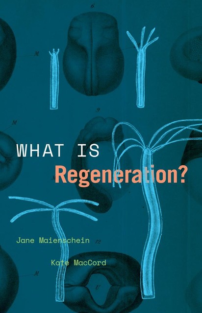 What Is Regeneration, Jane Maienschein, Kate MacCord