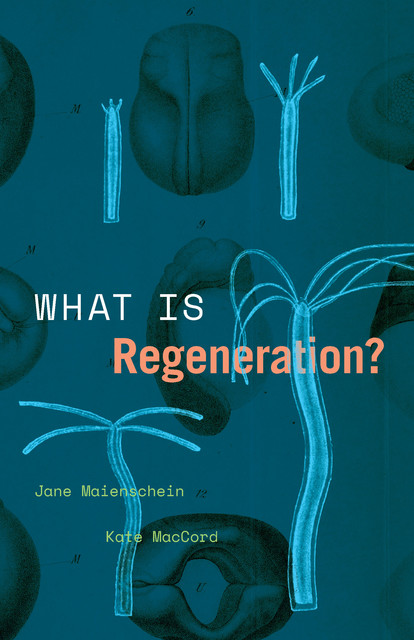 What Is Regeneration, Jane Maienschein, Kate MacCord