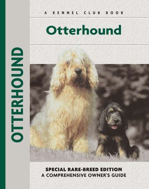 Otter Hound, Juliette Cunliffe