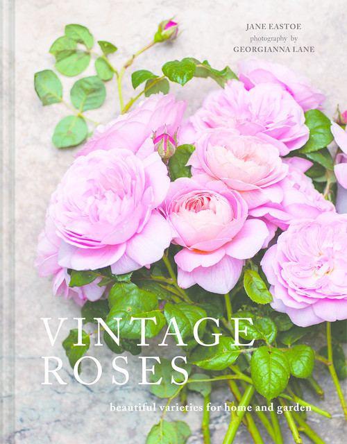 Vintage Roses, Jane Eastoe, Georgianna Lane