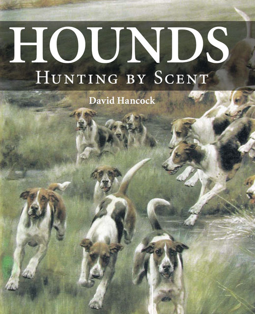 Hounds, David Hancock