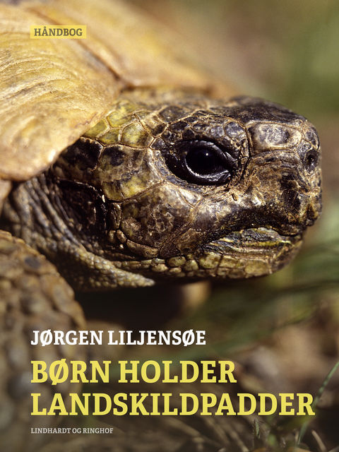 Børn holder landskildpadder, Jørgen Liljensøe