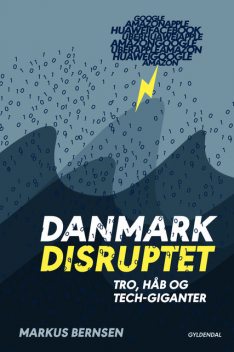 Danmark disruptet, Markus Bernsen