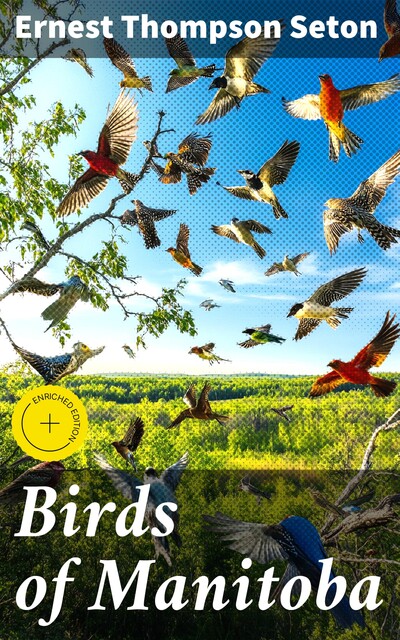 Birds of Manitoba, Ernest Thompson Seton