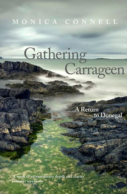 Gathering Carrageen, Monica Connell