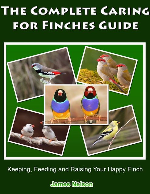 The Complete Caring for Finches Guide: Keeping, Feeding and Raising Your Happy Finch, James Nelson