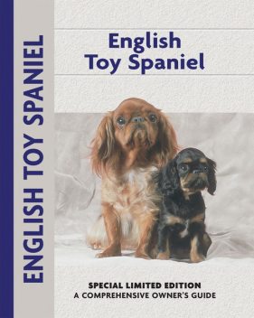 English Toy Spaniel, Chelsea Devon