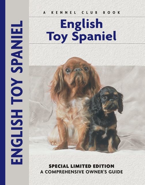 English Toy Spaniel, Chelsea Devon