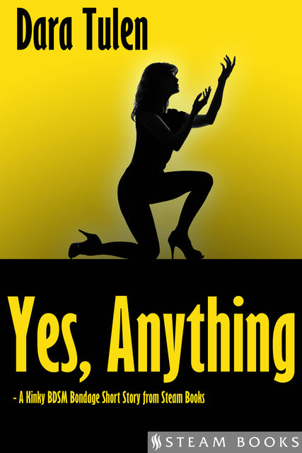 Yes, Anything – A Kinky BDSM Bondage Short Story from Steam Books, Steam Books, Dara Tulen