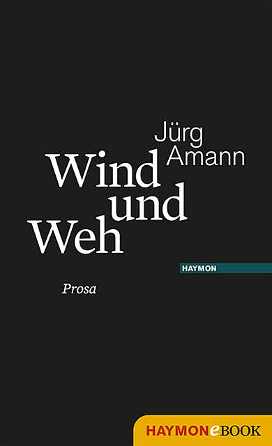 Wind und Weh, Jürg Amann