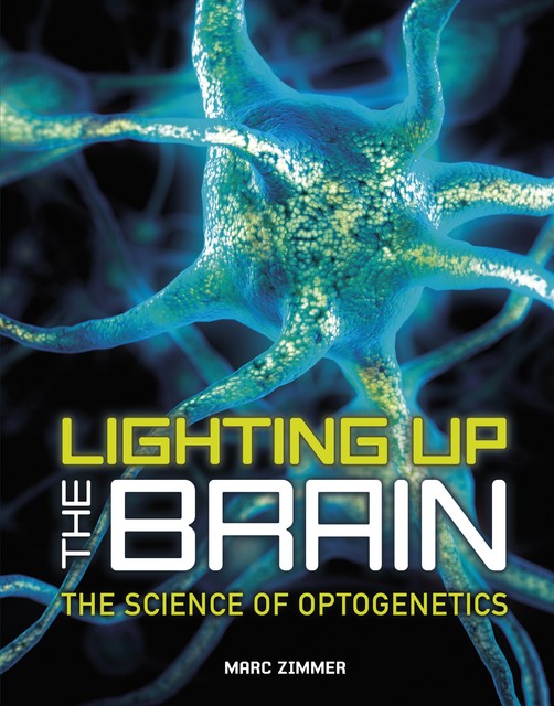 Lighting Up the Brain, Marc Zimmer