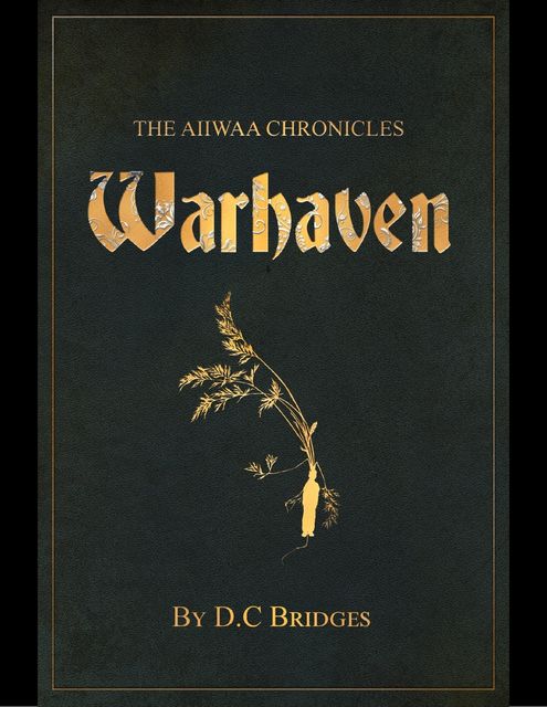 Warhaven, D.C. Bridges