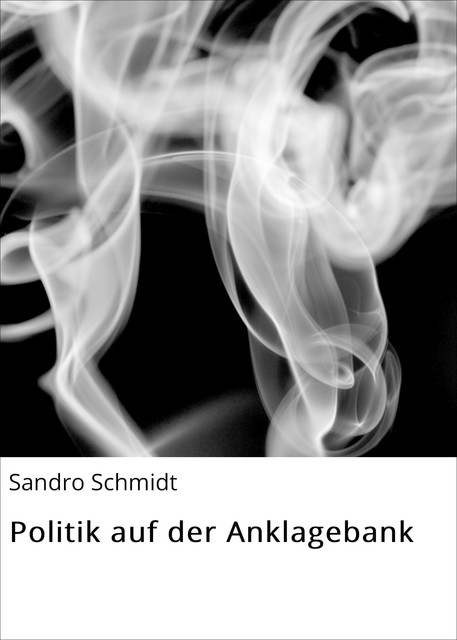 Politik auf der Anklagebank, Sandro Schmidt