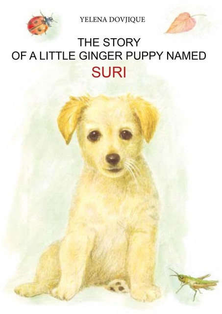 The story of a little ginger puppy girl named Suri, Yelena Dovjique