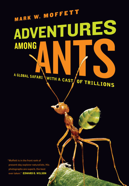 Adventures among Ants, Mark W. Moffett
