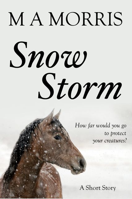 Snow Storm, M.A. Morris