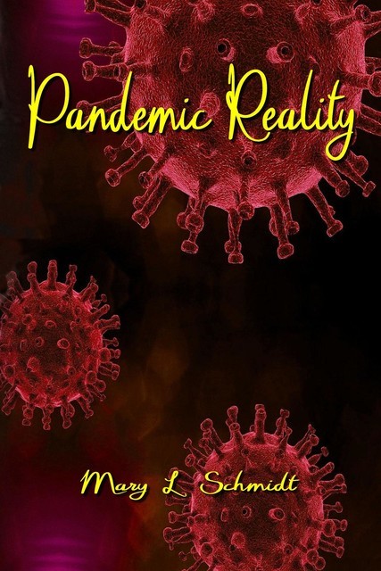 Pandemic Reality, Mary L Schmidt