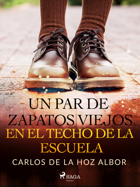 Un par de zapatos viejos en el techo de la escuela, Carlos Adolfo De La Hoz Albor