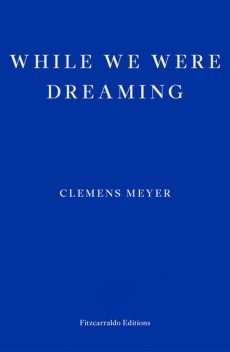 While We Were Dreaming, Clemens Meyer