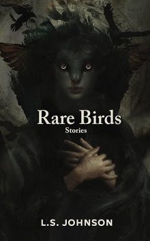 Rare Birds: Stories, L.S. Johnson