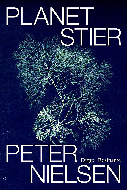 Planetstier, Peter Nielsen
