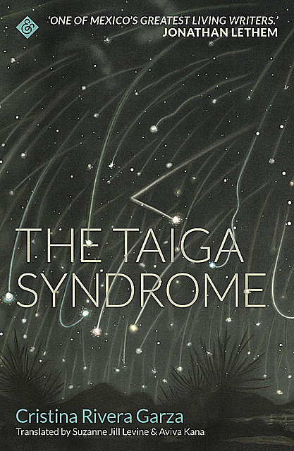 The Taiga Syndrome, Cristina Rivera Garza
