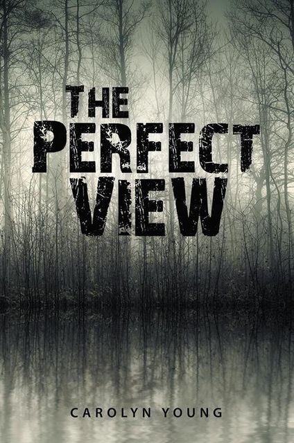 The Perfect View, Carolyn Young