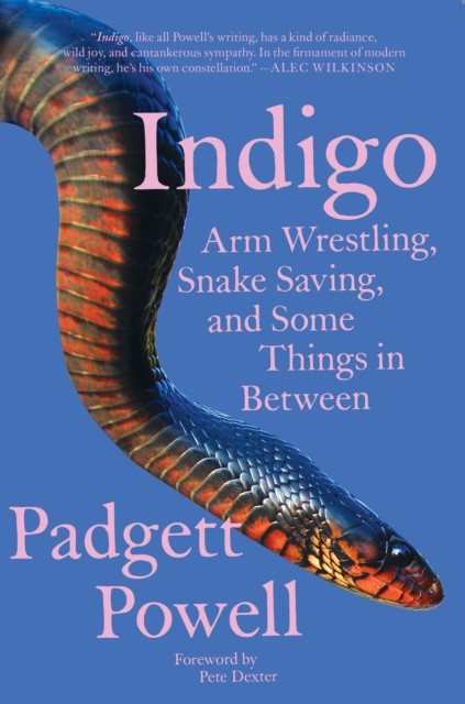 Indigo, Padgett Powell