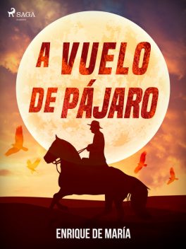 A vuelo de pájaro, Enrique De María