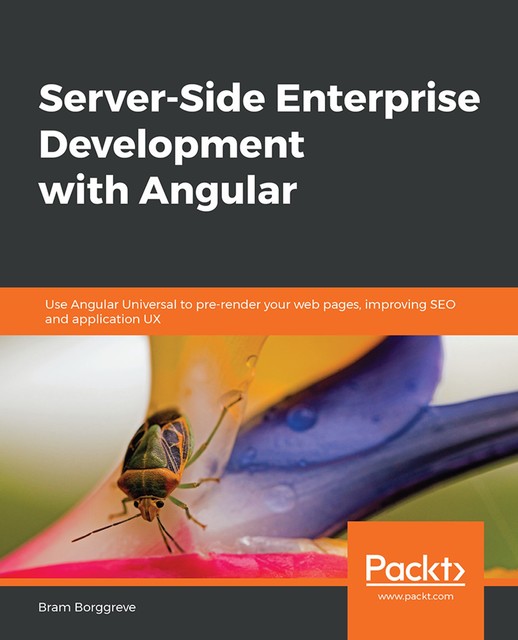 Server-Side Enterprise Development with Angular, Borggreve Bram
