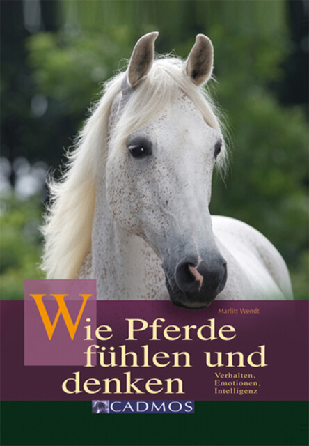 Wie Pferde fühlen und denken, Marlitt Wendt