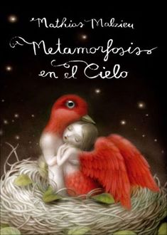 Metamorfosis En El Cielo, Mathias Malzieu