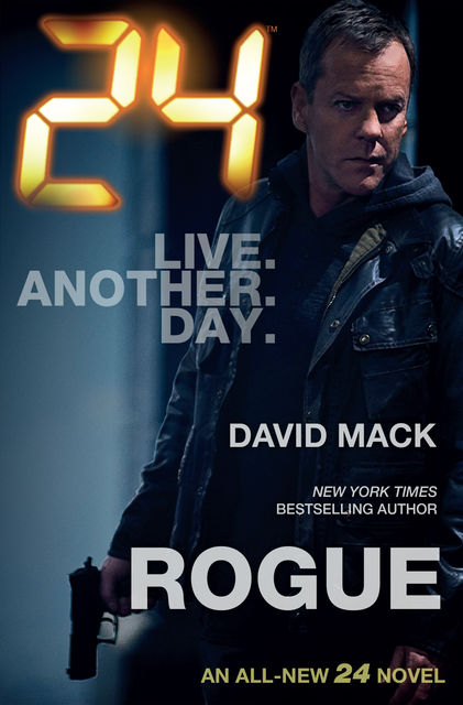 24 – Rogue, David Mack