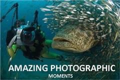 Amazing Photographic Moments, Photography eBooks