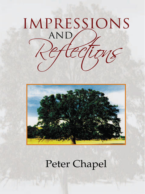 Impressions and Reflections, Peter Chape