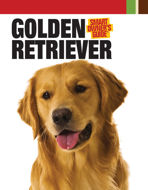 Golden Retriever, Dog Fancy Magazine