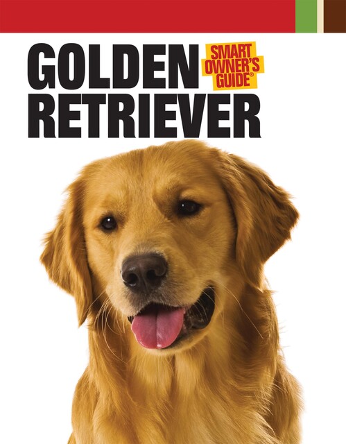 Golden Retriever, Dog Fancy Magazine