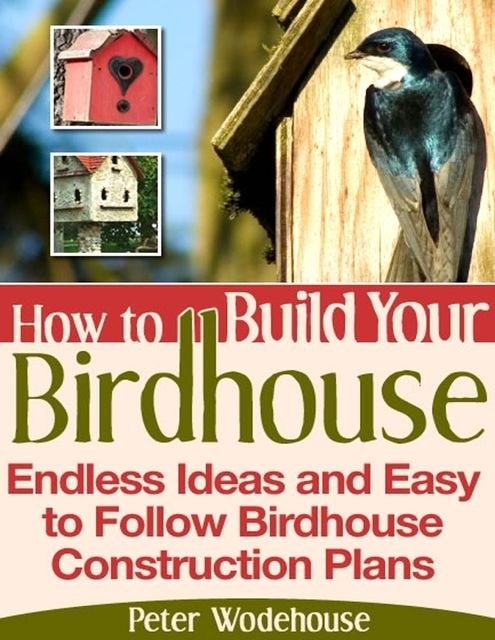 How to Build Your Birdhouse – Endless Ideas and Easy to Follow Birdhouse Construction Plans, Peter Wodehouse