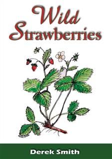 Wild Strawberries, Derek Smith