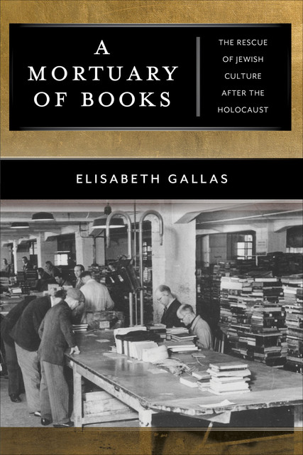 A Mortuary of Books, Alex Skinner, Elisabeth Gallas