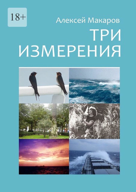 Три измерения, Алексей Макаров
