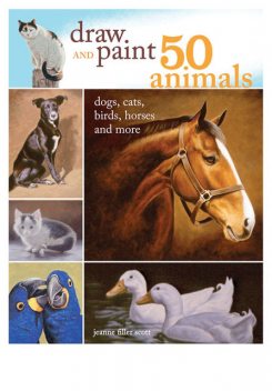 Draw and Paint 50 Animals, Jeanne Filler Scott