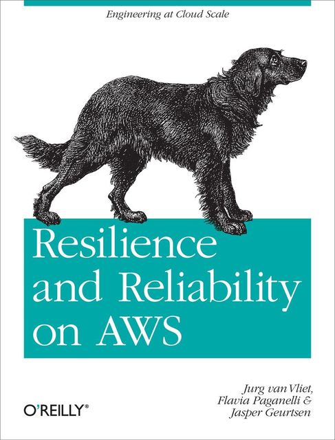 Resilience & Reliability on AWS, Jurg van Vliet, Flavia Paganelli, Jasper Geurtsen