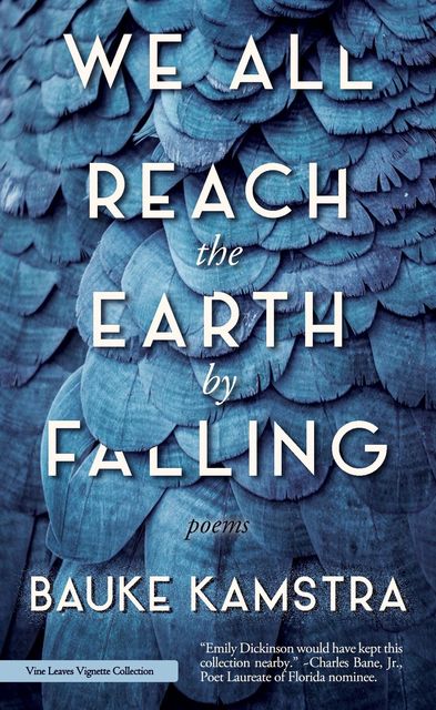 We All Reach the Earth by Falling, Bauke Kamstra